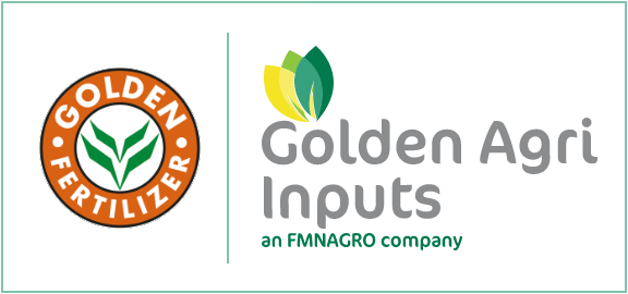 golden-inputs